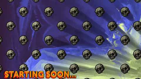 Flying Skulls Starting Soon Screen